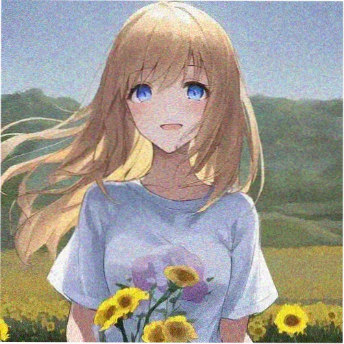 观众阿岚的头像